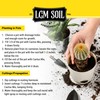 LGM Cactus & Succulent Palm & Citrus Mix, Ideal Potting