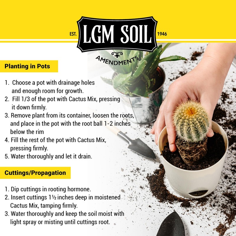 LGM Cactus & Succulent Palm & Citrus Mix, Ideal Potting