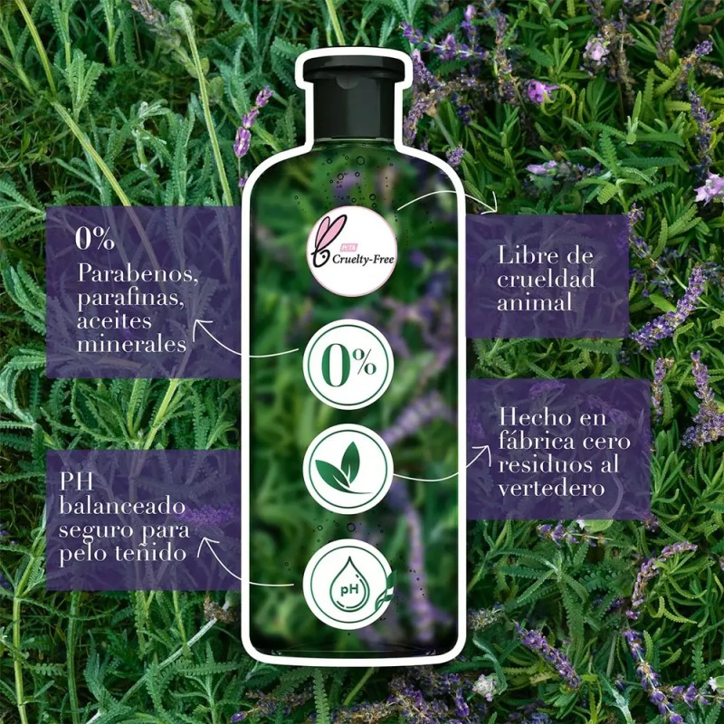 Shampoo Herbal Essences Antifrizz Lavanda & Aceite de Almendras 600