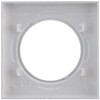 Legrand 600851 Square Dooxie Plate with 1 Post Aluminium Effect