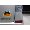 Cute Cat Magnetic Sign Dash Cam Recording Black Cat