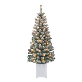 Set of 2 5 ft Pre-Lit Potted Flocked Western Spruce Trees, 169 Tips, 70 UL Clear Incandescent Lights