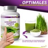 Vita2You Organic Barley Grass Capsules - 360 Capsules - 3000