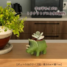 Flower Gift Corporation Succulent Plants Home Decor Houseplant Gift Dinosaur Mini Pot Mini Size Petite Gift