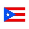 TENNER.LONDON Set of 5 Puerto Rico Flags Iron on Screen