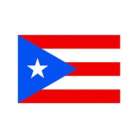 TENNER.LONDON Set of 5 Puerto Rico Flags Iron on Screen Print Fabric Applique Machine Washable Transfer Puerto Rican Flag