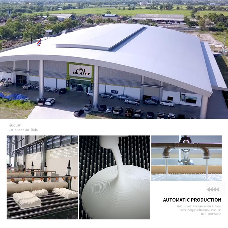 TalatexHome 100% Natural Premium Latex Pillow, Medium Low Pofile Latex