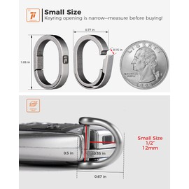 FEGVE D Ring Keychain, Small Quick Open Titanium Key Ring Clip for Car Home Keys (Grey)