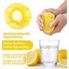 100 Pcs Lemon Covers Mesh, Lemon Covers, Lemon Net for
