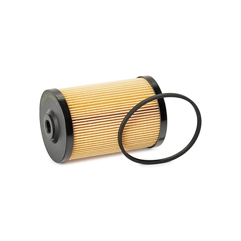 RIDEX Fuel Filter 9F0204