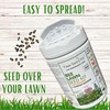 Flawn Seed Kits Bee Lawn Seed Kit, Dutch White Clover