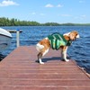 Kuoser Dog Life Jacket with Reflective Stripes, Adjustable High Visibility