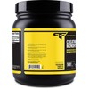 Primaforce Micronized Creatine Monohydrate Powder 500 Grams (1.1 Pounds)