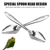 YAODHAOD 4.7" Bird Parrot Stainless Steel Metal Feeding Spoon Parrot