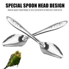 YAODHAOD 4.7" Bird Parrot Stainless Steel Metal Feeding Spoon Parrot Feeding Scoops Hand Feeding Spoons for Parrot (3PCS)