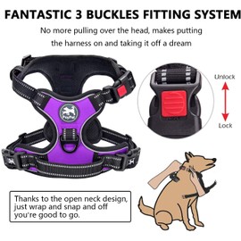 PoyPet Dog Harness and Leash Combo, Escape Proof No Pull Vest Harness, with 5 Feet Leash, Reflective Adjustable Soft Padded Pet Harness with Handle for Small to Large Dogs(Purple,S)