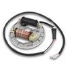 FLYPIG New Stator for Suzuki LT 80 LT80 Quadsport 1987-2006