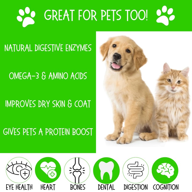 FARM FRESH Quail Eggs *Laid in the U.S.* Hormone Free;