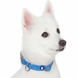 Blueberry Pet Essentials Reflective Better Basics Matching Dog Collar and Leash Set in French Blue, Adjustable Collar with 4 ft Leash for Large Dogs