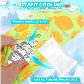 EXPAWLORER Dog Cooling Bandana - Summer Dog Bandanas with Ice Bag & Thermal Insulation Layer, Reusable Freezing Gel Cooling Pet Scarf for Hot Days, Neck Cooler for All Breeds (Blue Green, M)