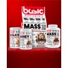 basic SUPPLEMENTS Whey Protein Powder | Whey Protein Blend with