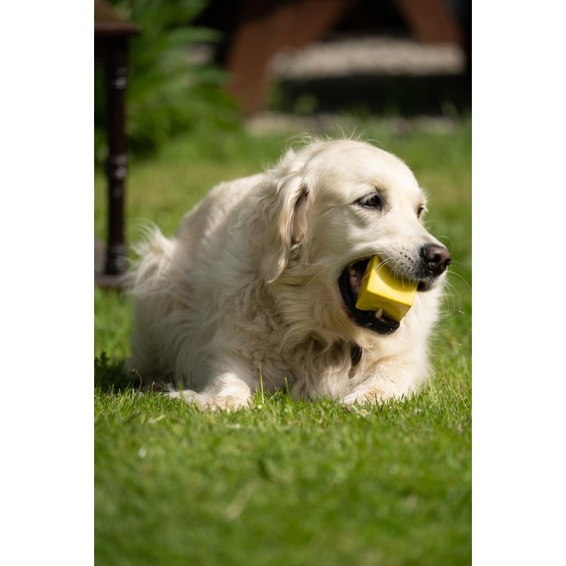 Petface Fondant Fancy Latex Dog Toy (Pack of 1)