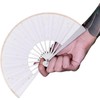 FEILBER 5.5" Titanium Folding Fan Kung Fu Fan Hand Held