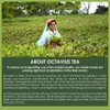 Octavius 2 Assorted Black Tea and Green Tea Flavors |