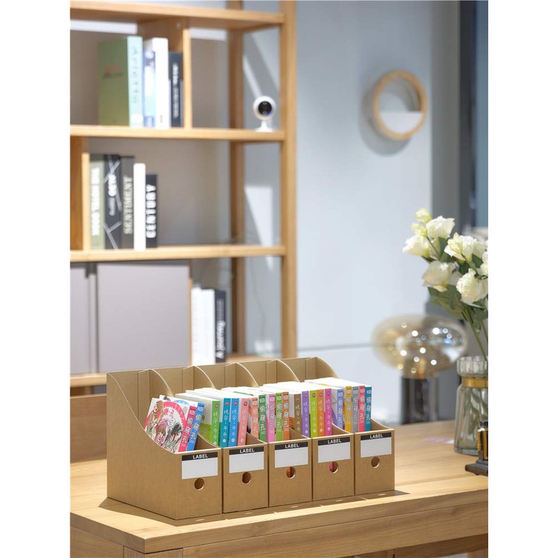 Panavage File Box, A4, Paper, Small Storage, File Stand, Stationery