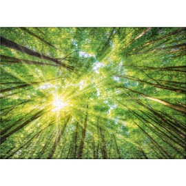 Ulmer Puzzleschmiede - Puzzle "Light and Shadow" - Atmospheric forest puzzle with 1000 pieces - The sun shines through the tree peaks at a vertical view from the forest floor to the sky