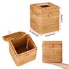 IGNPION Rattan Tissue Box, Decorative Cosmetic Tissue Box, Handwoven Tissue