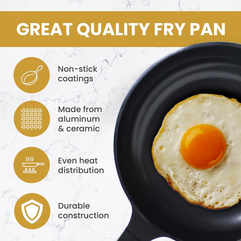 Evaco Cast Aluminum Non-Stick Omelet Pan 9.5" ES024-BIH, Induction Ready,