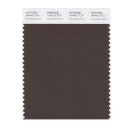 PANTONE Smart 19-0912X Color Swatch Card, Chocolate Brown
