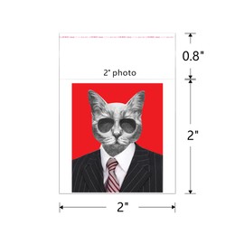 Small Self Stick Cellophane Bags 2x2"Clear Adhesive Cello Baggies 500pcs Tiny Square OPP Poly Bags 2mil for Photo Beads Coins Buttons Earrings Powder