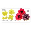 JEM Anemone Cutters, Set of 4