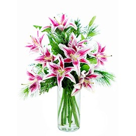 KaBloom PRIME NEXT DAY DELIVERY - Mother’s Day Collection -KaBloom Wintergreen Stargazers, 2.Gift for Birthday, Sympathy, Anniversary, Get Well, Thank You, Valentine, Mother’s Day Fresh Flowers