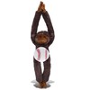 DolliBu Capuchin Monkey Stuffed Animal with Baseball Plush - Soft,