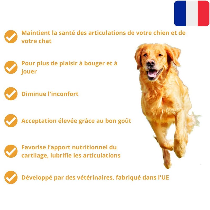 Prodivet Aplazyl - 60 tablets