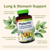 Herbs Etc. Phytocillin - Respiratory & Digestive Health Support Supplement