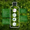 Shampoo Herbal Essences Detox Té Verde Menta 400 Ml