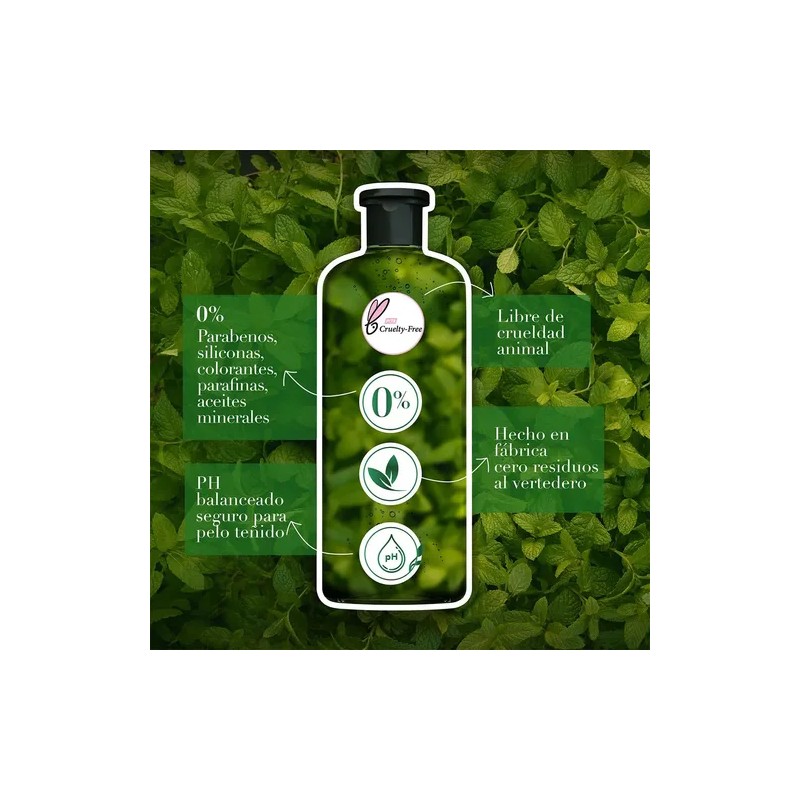 Shampoo Herbal Essences Detox Té Verde Menta 400 Ml