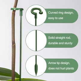 LUCKJUJU 30 Pcs Plant Support Stakes with 30 Pcs Plant Clips Garden Floral Flower Support Single Stem Support Stake for Phalaenopsis Orchid Flower Roses Amaryllis