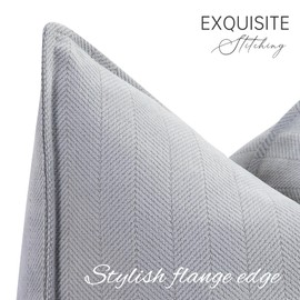 ZWJD Light Grey Cushion Cover, 30 x 50 cm, Set of 2, Chenille Cushion Covers, Sofa Cushion Covers with Elegant Design, Soft and Luxurious Decorative Cushions for Couch, Bed and Home Decoration