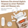 NAD Capsules Alternative 500 mg, 60 Capsules - No Additives,