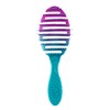 Wet Brush Brush Pro Flex Dry Teal Ombre