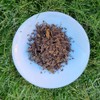 Tea Soul | Tè verde Biologico Kirishima Houjicha 50 gr