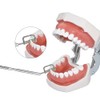 Tiras de IPR dentales para reducción de esmalte interproximal Kit