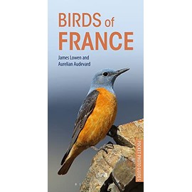 Birds of France (Pocket Photo Guides)