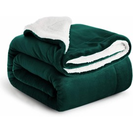 IR Imperial Rooms Sherpa Fleece Throw Blanket Twin Size for Couch - Thick and Warm Fluffy Emerald Green Blankets for Winter, Soft and Fuzzy Twin Blanket for Bed, 60x80 Inches