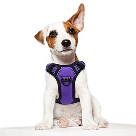 BUMBIN Tactical Dog Harness for Small Dogs No Pull, Famous TIK Tok No Pull Puppy Harness, Fit Smart Reflective Pet Walking Harness for Training, Adjustable Dog Vest Harness with Handle Purple XS